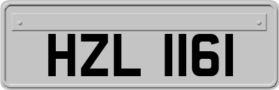 HZL1161