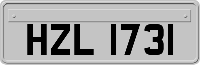 HZL1731