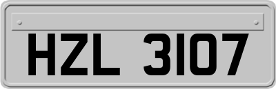 HZL3107