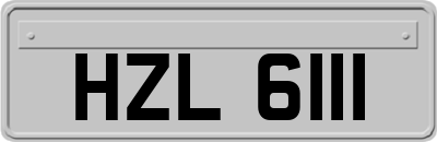 HZL6111