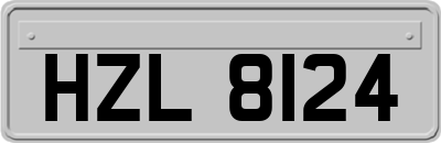 HZL8124