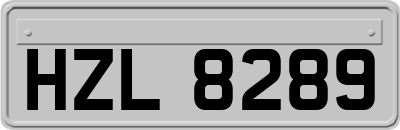 HZL8289