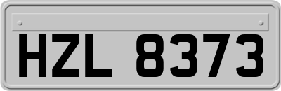 HZL8373