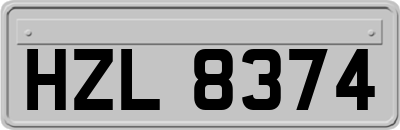 HZL8374