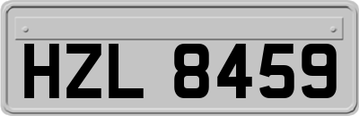 HZL8459
