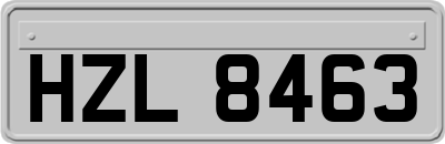 HZL8463