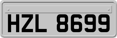 HZL8699
