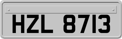 HZL8713