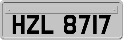 HZL8717