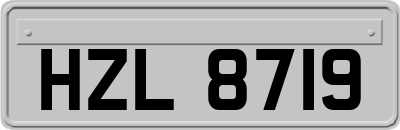 HZL8719