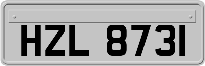 HZL8731