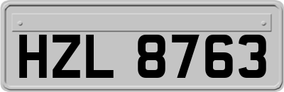 HZL8763