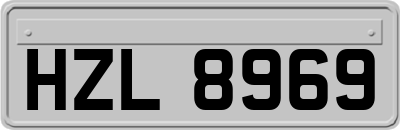 HZL8969
