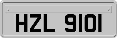 HZL9101