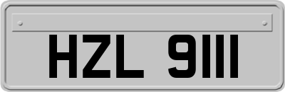 HZL9111