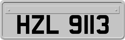 HZL9113