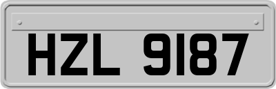 HZL9187