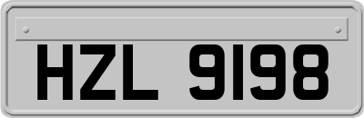 HZL9198