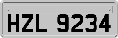 HZL9234