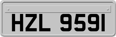 HZL9591