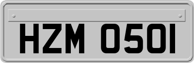 HZM0501