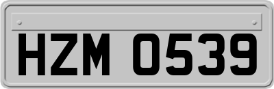 HZM0539