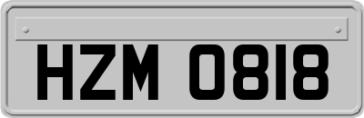 HZM0818
