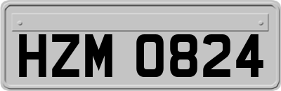 HZM0824