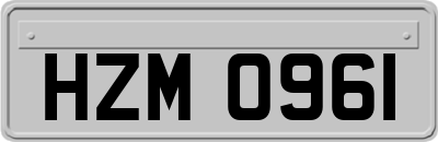 HZM0961