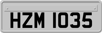 HZM1035
