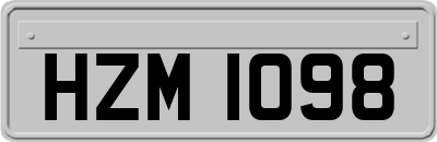 HZM1098