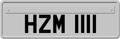 HZM1111