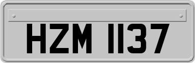 HZM1137