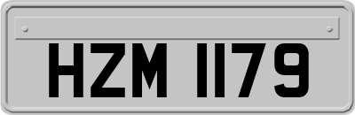HZM1179