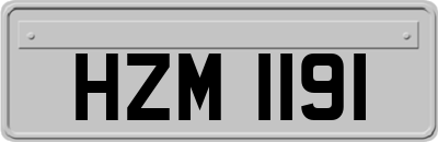 HZM1191