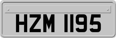 HZM1195