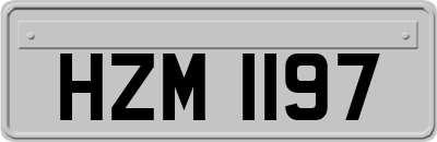 HZM1197