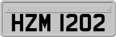 HZM1202