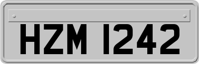 HZM1242