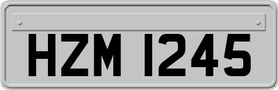 HZM1245