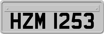 HZM1253