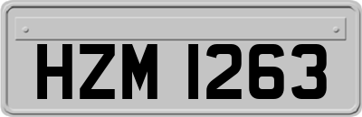 HZM1263