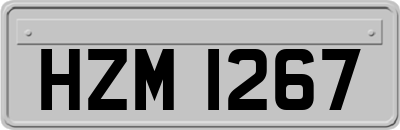 HZM1267