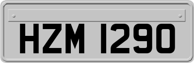 HZM1290