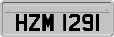 HZM1291