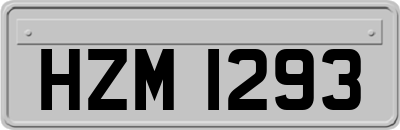 HZM1293