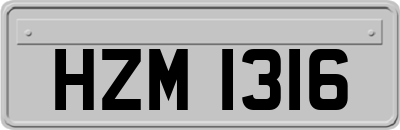 HZM1316