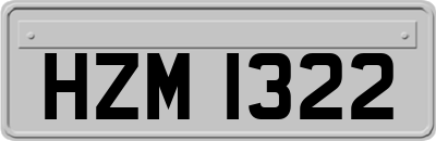 HZM1322