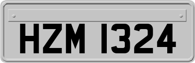 HZM1324