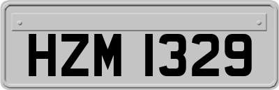 HZM1329